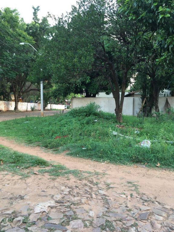 barrio molino vendo — foto 2