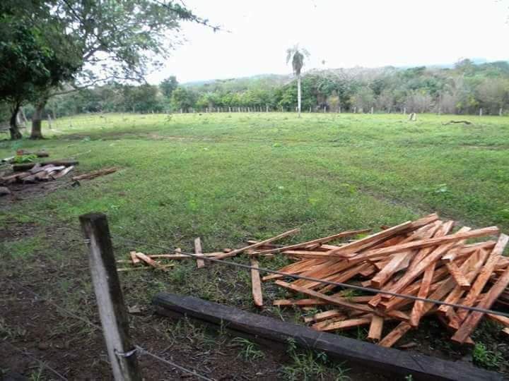 47 hectáreas en isla puku cordillera — foto 2