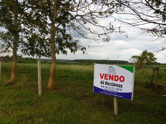VENDO 44 HECTÁREAS EN KM 32 SOBRE RUTA — foto 2