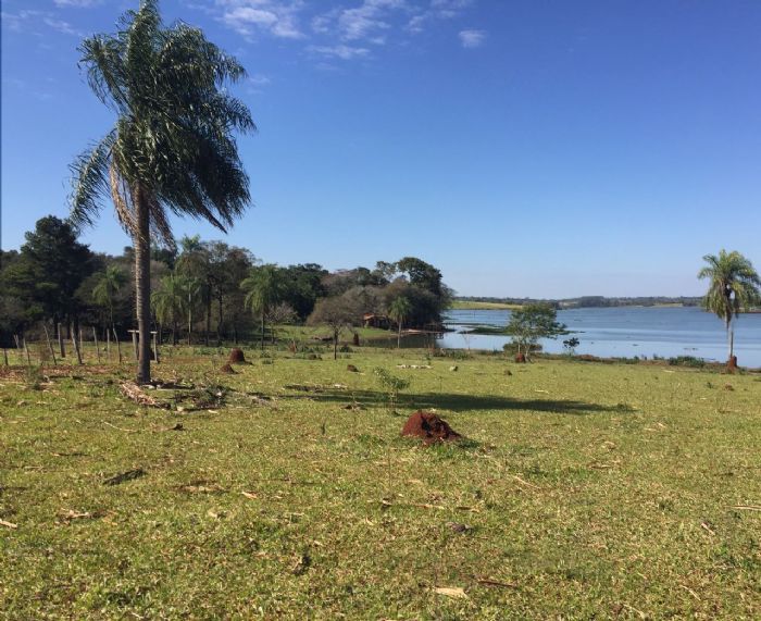 VENDO 22 HECTÁREAS EN HERNANDARIAS — foto 2