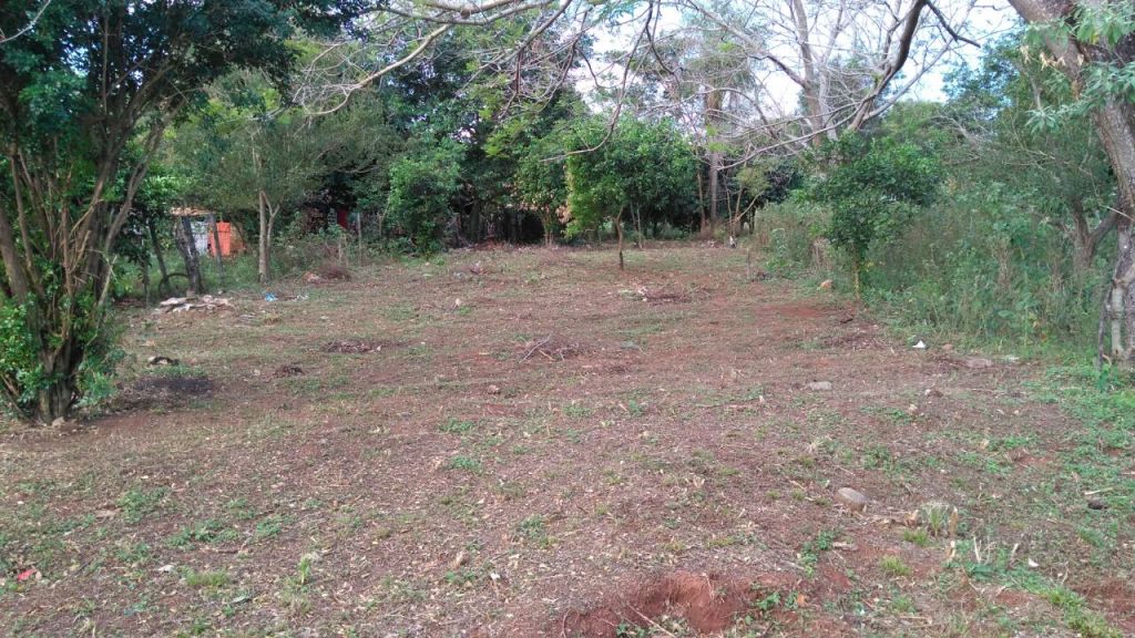 Vendo terreno en Caacupe Barrio Daniel Escurra cerca de la Basílica — foto 3