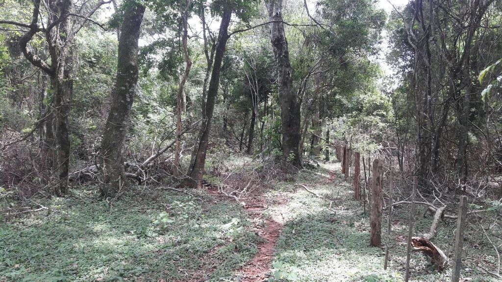 Venta de lote — foto 3