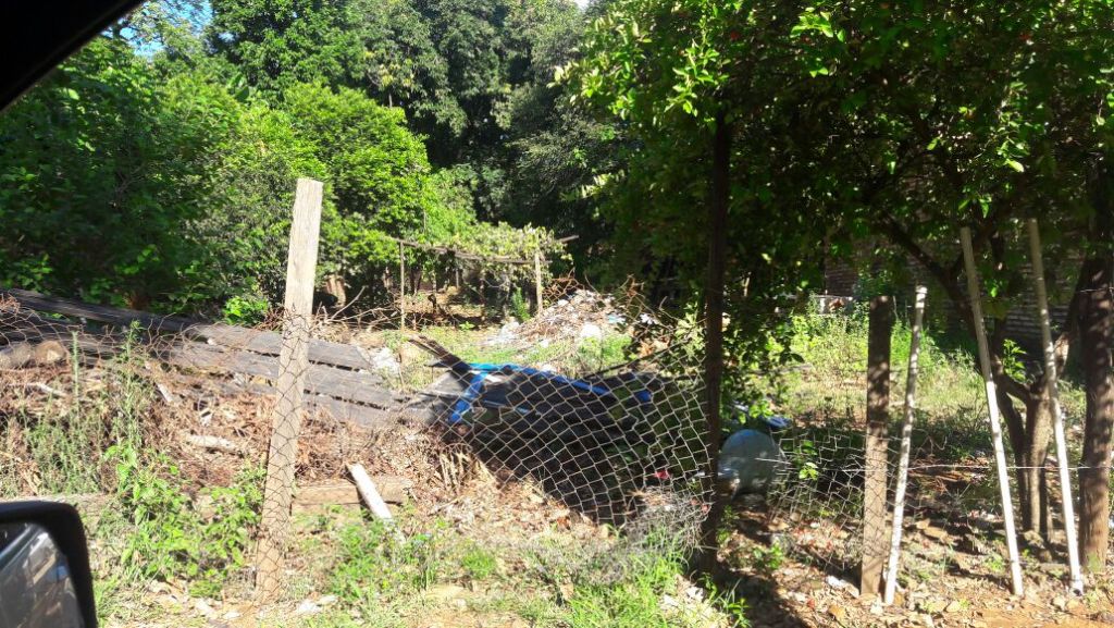 OFERTA TERRENO FERNANDO DE LA MORA ZONA SUR SOBRE ASFALTO 14X28 A MEDIA CUADRA DE AVELINO ZONA SUPER COMERCIAL — foto 2