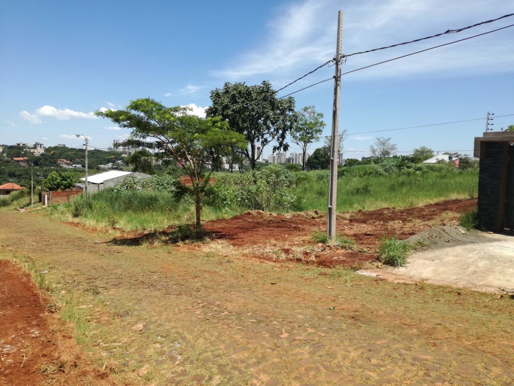 TERRENO TITULADO A CUADRAS DEL MICRO CENTRO CDE Y DEL MERCADO DE ABASTO — foto 3