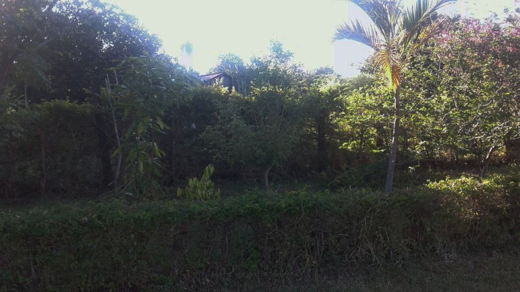 Vendo Terreno en Carmen del Paraná — foto 2