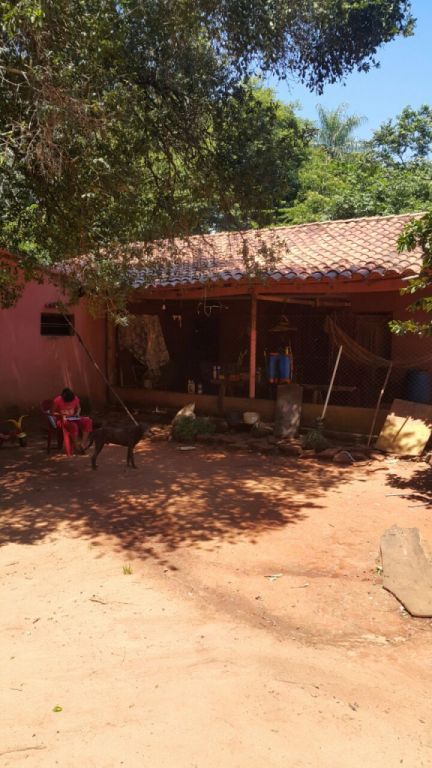 VENDO GRANJA — foto 2
