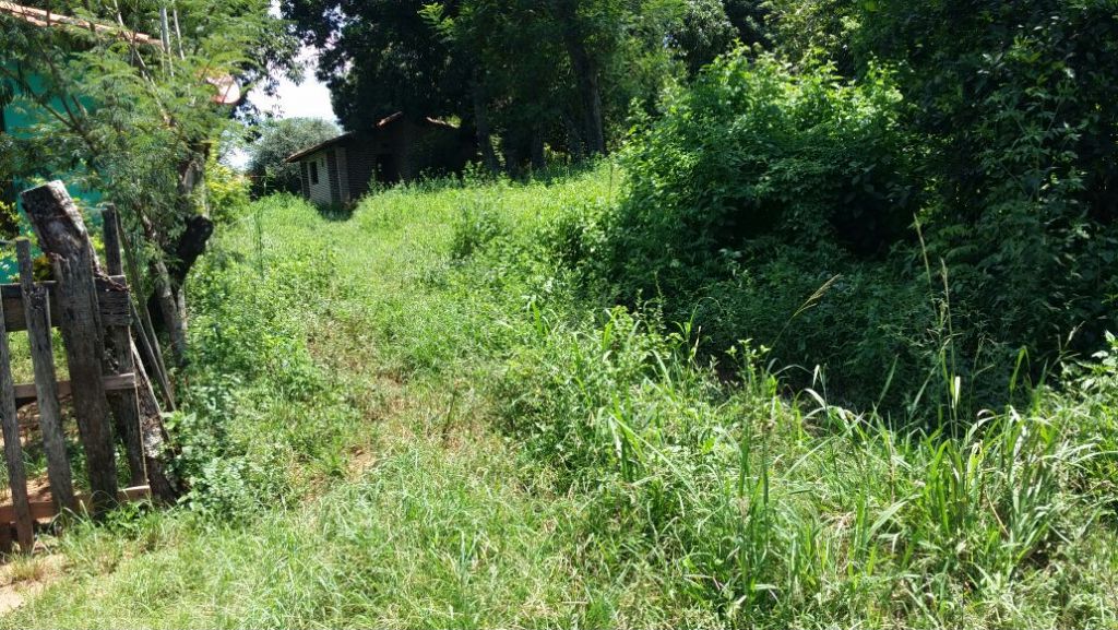Oferta - Vendo terreno calle a calle en Itacurubi de la Cordillera — foto 2