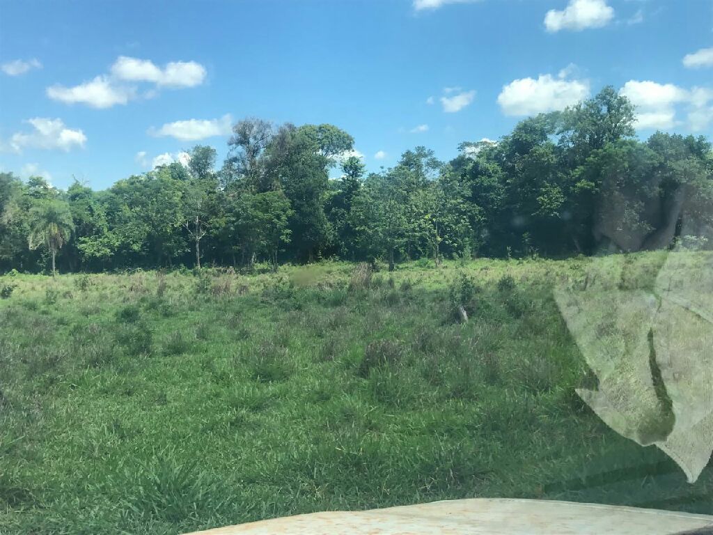Propiedad Rural — foto 2