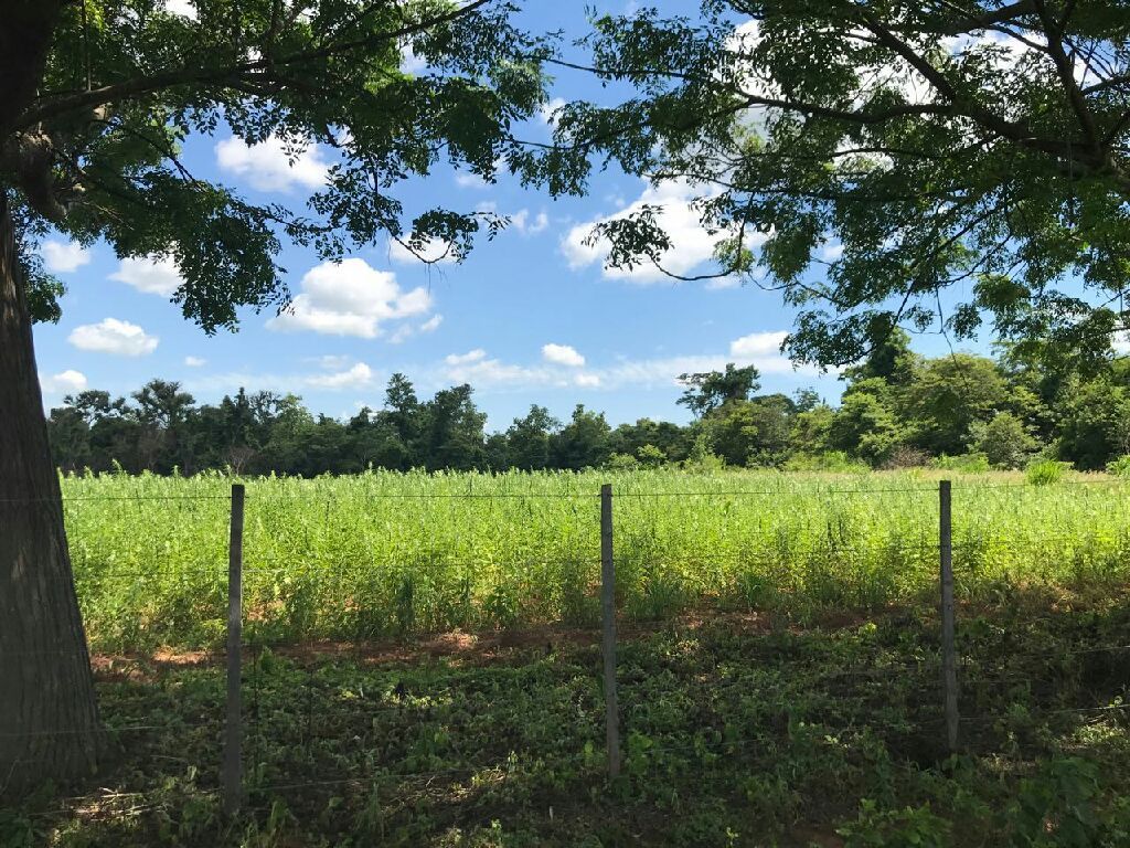 Propiedad Rural — foto 3