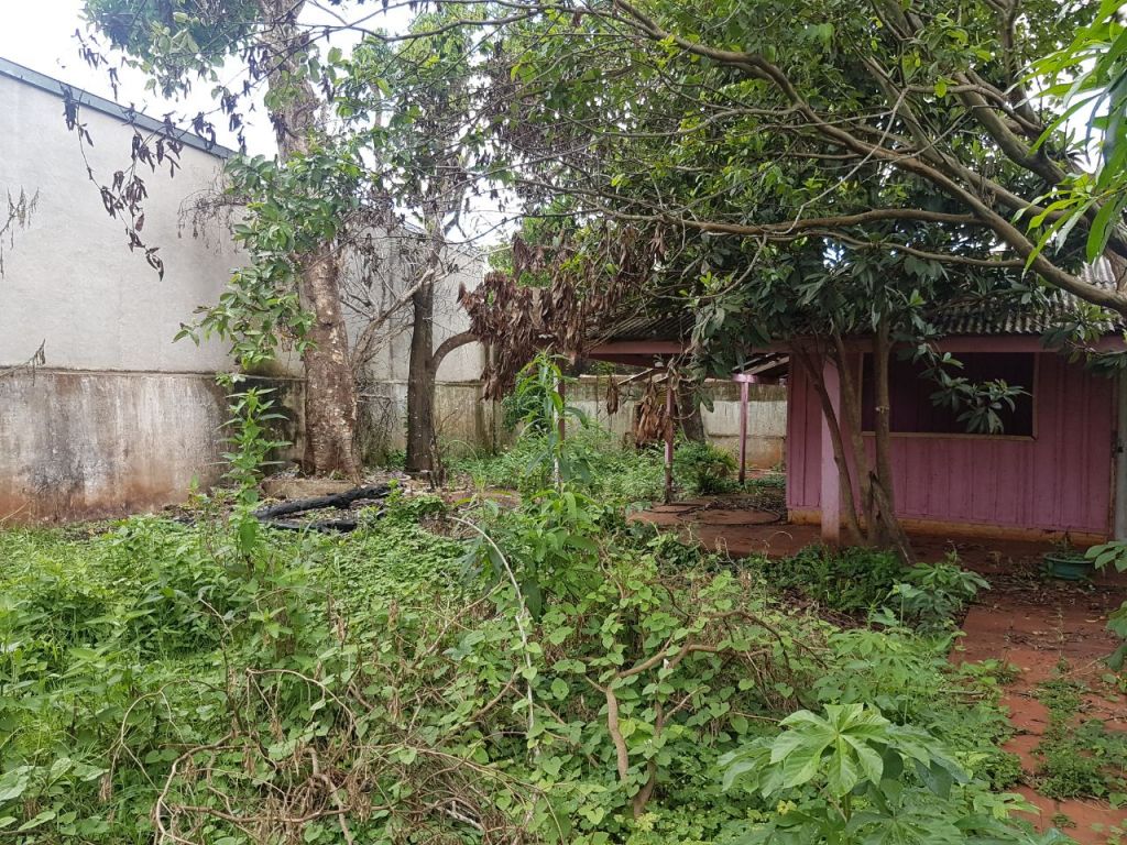 VENDO PROPIEDAD DETRÁS DE SÚPER 6 FRANCO! — foto 2