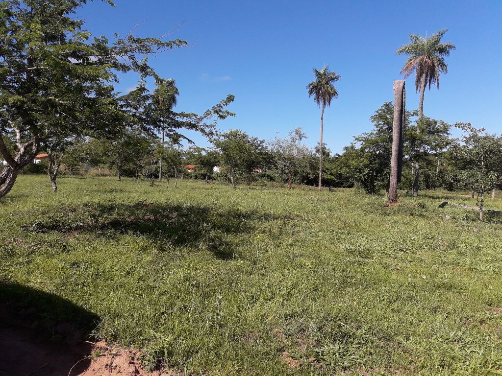 Vendo terrenos — foto 3