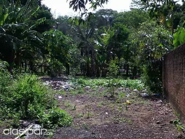 Hermoso lugar a la venta sobre la Avenida San Juan en Yby Yau — foto 2