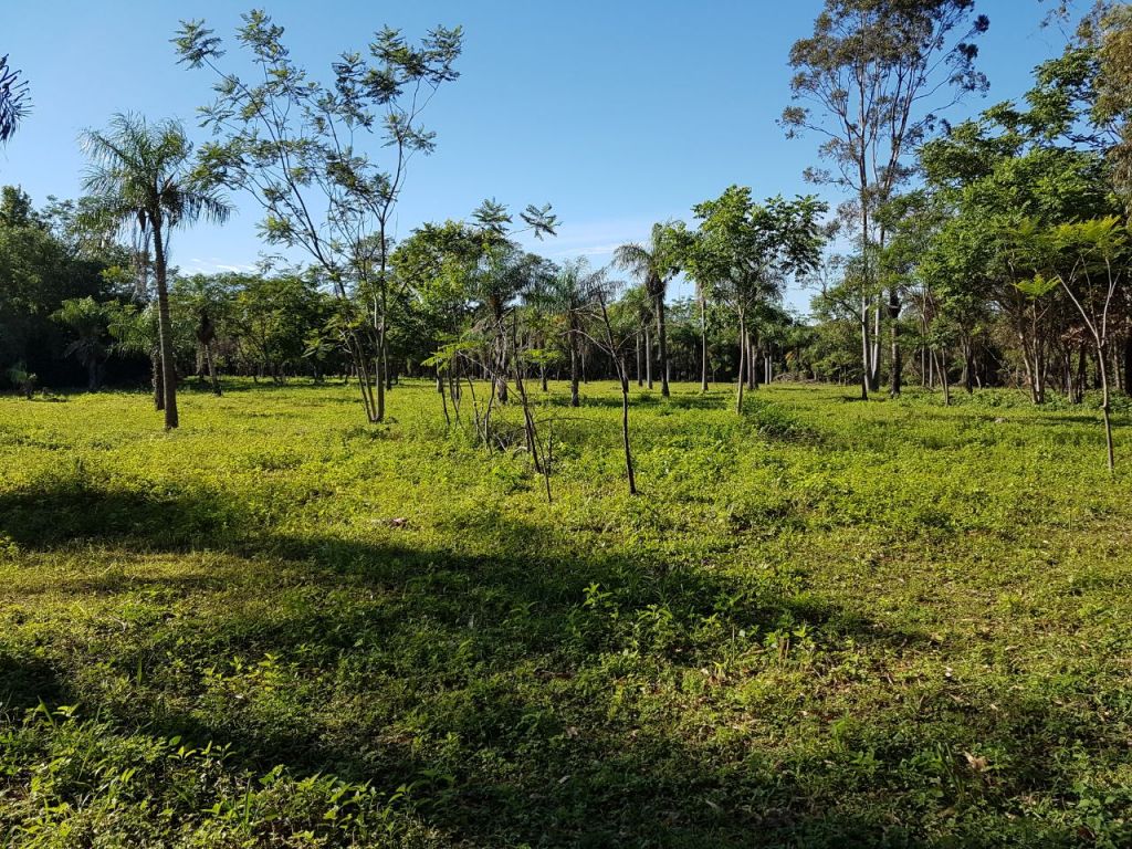 VENDO propiedad dentro del município de San Bernardino — foto 2