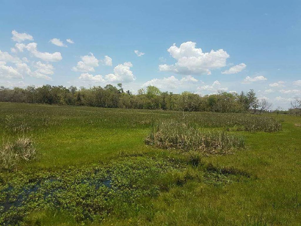 Venta de campo — foto 2