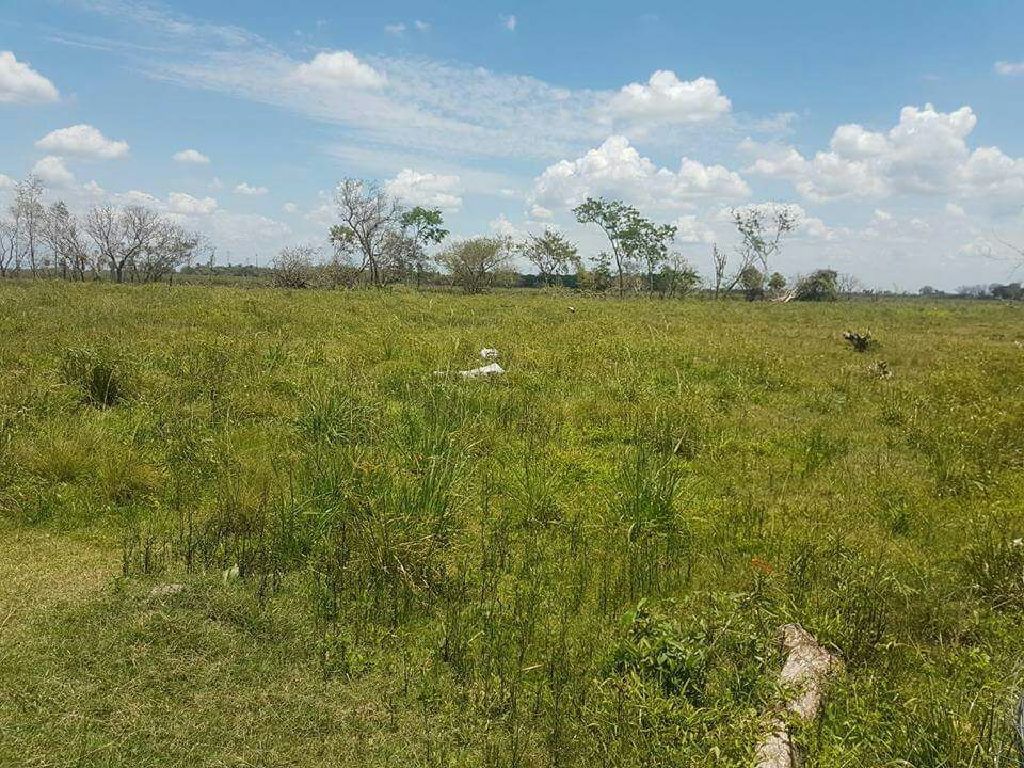 Venta de campo — foto 3