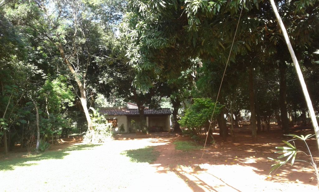 Vendo terreno de 9 HA y media con casas — foto 2