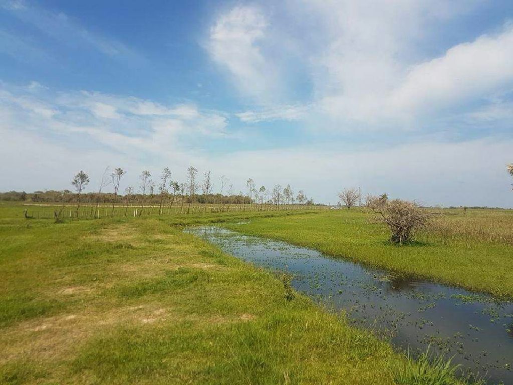 Venta de campo de 32 hectareas — foto 2