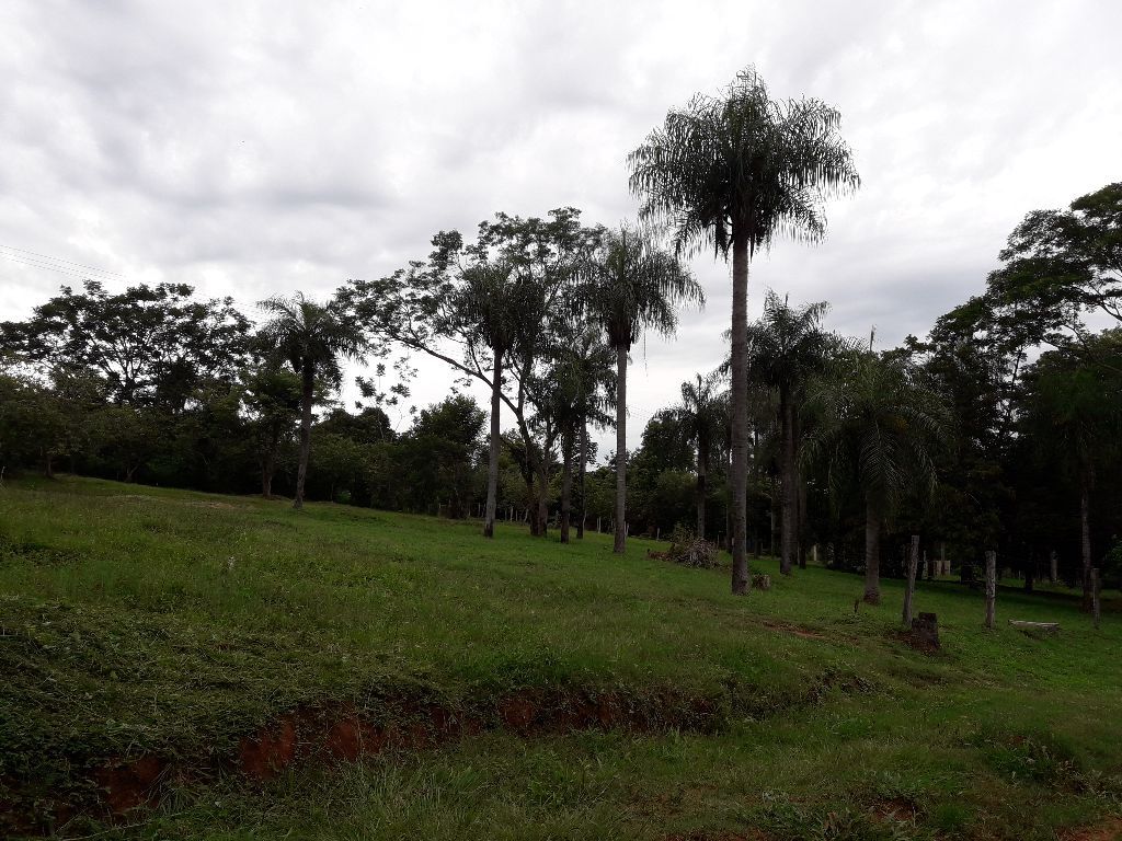 Vendo lotes — foto 2