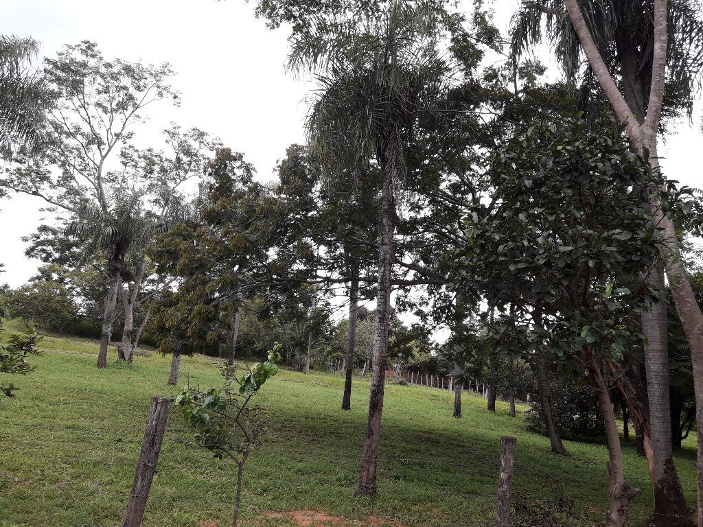 Vendo lotes — foto 3