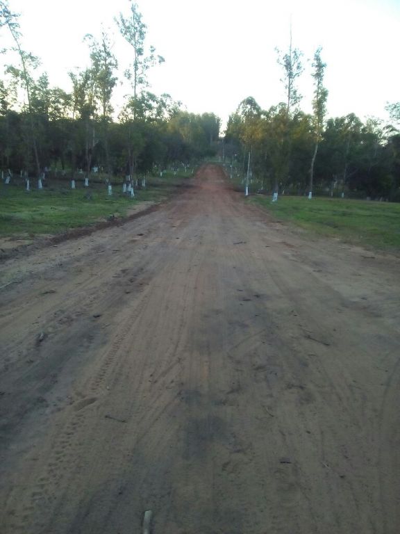 TENGO OFERTA DE TERRENO — foto 3