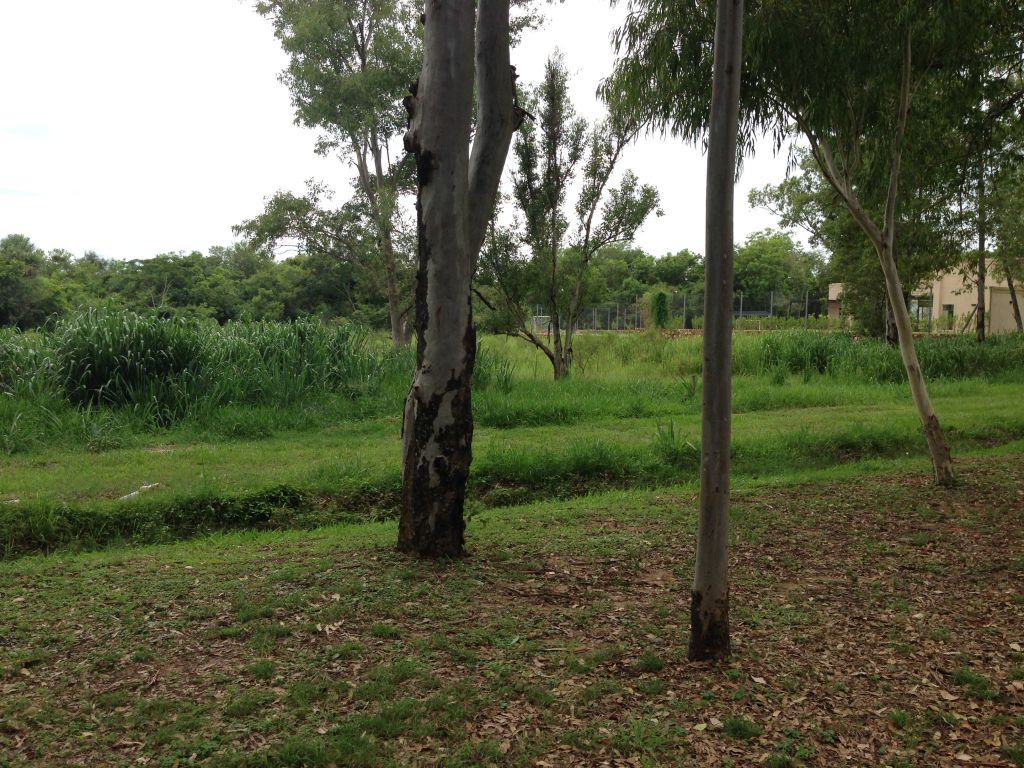 Terreno en Surubii — foto 3