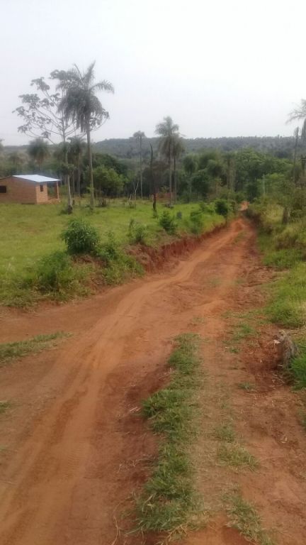 HERMOSA PROPIEDAD EN PIRIBEBUY - 3 HA — foto 3