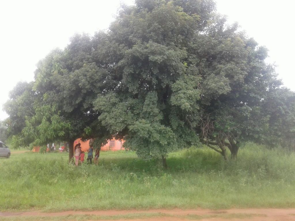 Terreno en zona urbana — foto 2
