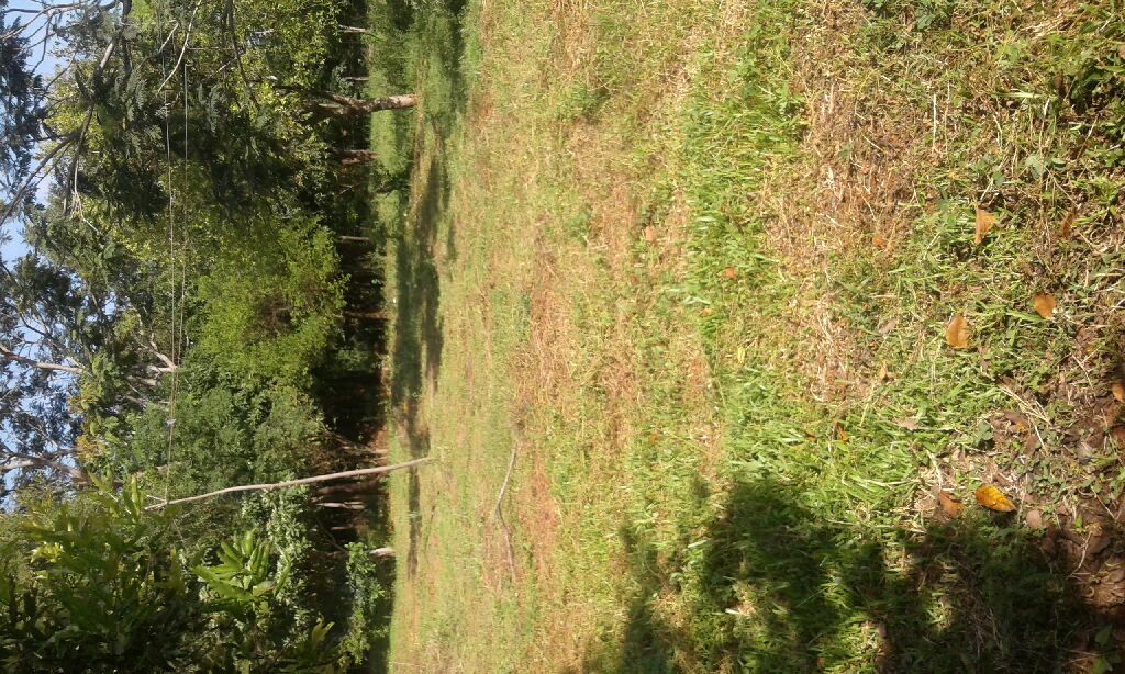 Urgente Vendo terrenos en Luque — foto 2