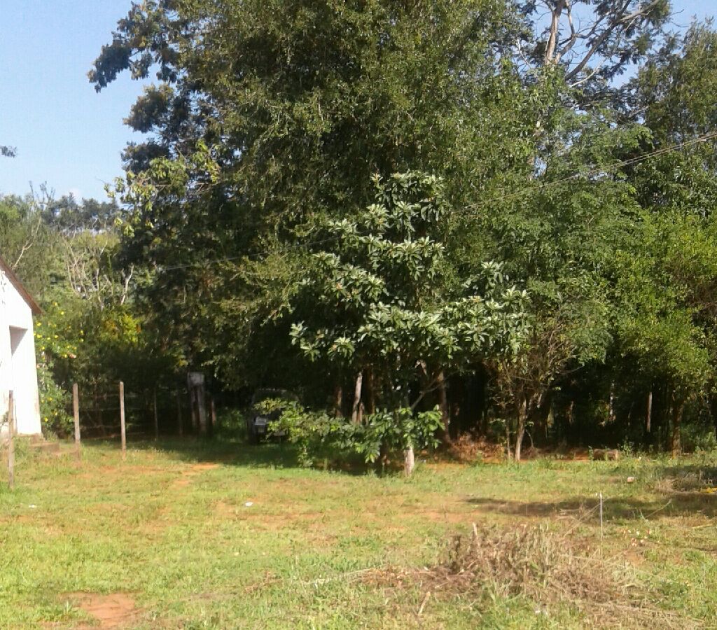 Urgente Vendo terrenos en Luque — foto 3