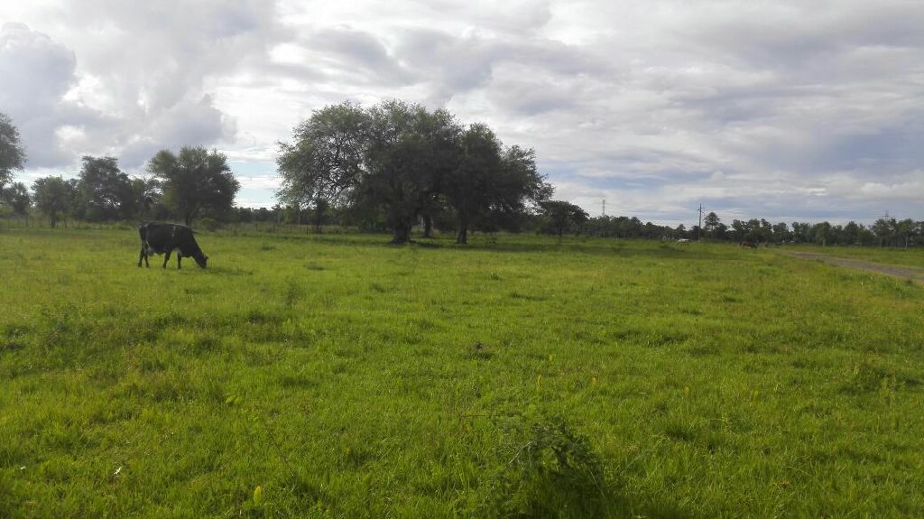 Fraccion Villa Toscana — foto 2