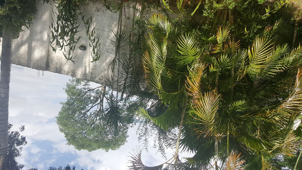 Vendo hermosa casa en Luque — foto 2