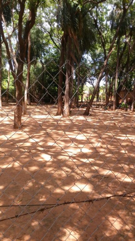 Terreno en M. R. Alonso — foto 3