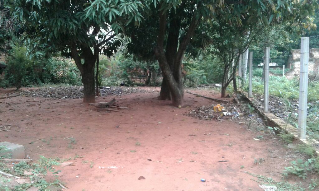Vendo el Terreno en el MEJOR LUGAR — foto 2