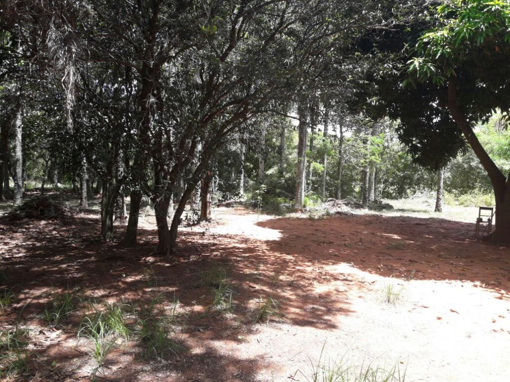 ESPECIAL PARA INVERSIONISTAS - DOS HECTAREAS — foto 2
