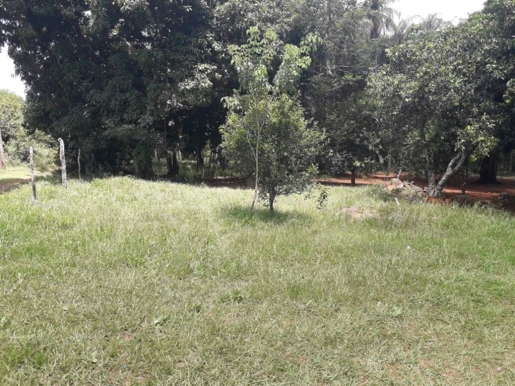 ESPECIAL PARA INVERSIONISTAS - DOS HECTAREAS — foto 3