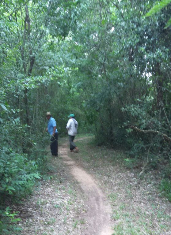 PROPIEDAD DE CASI 20 Has. CON ARROYO DENTRO DEL LOTE EN CAAGUAZU — foto 3