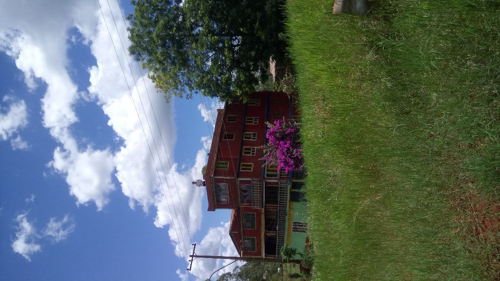Vendo propiedad con Casa y 2 hectáreas. — foto 2