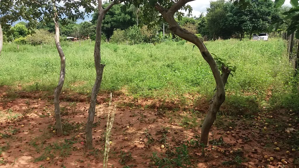 ¡Oferta!Vendo Terreno en Itaguá 2000 Mts.2 — foto 3