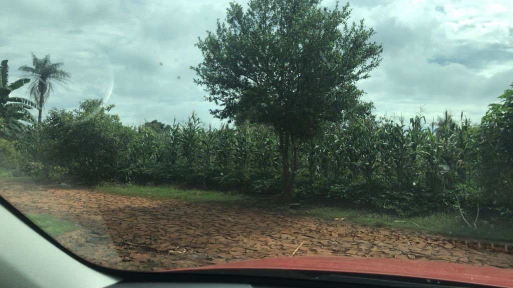 Vendo 5 terrenos en presidente franco! Se van los 5 juntos o cada uno por separado — foto 3