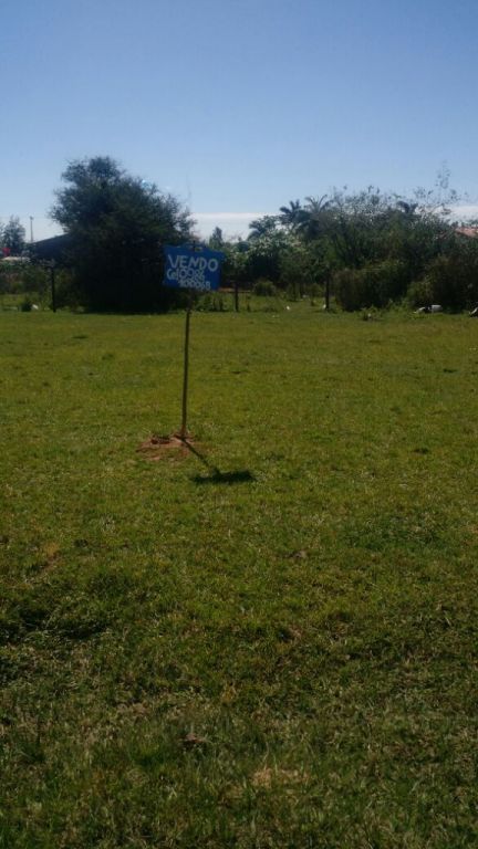 REGALO TERRENO EN LIMPIO — foto 3