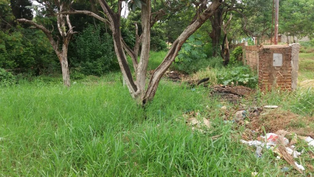 Vendo terreno en capiata — foto 2