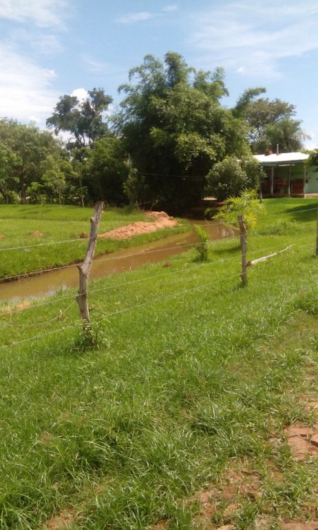 Remato Quinta — foto 2