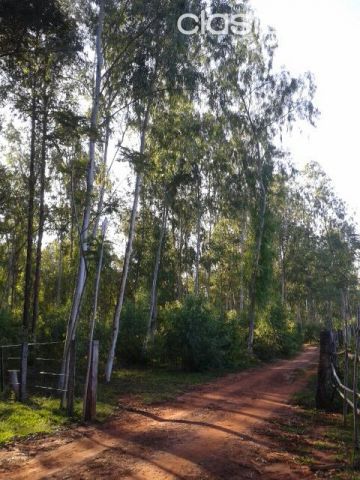 VENDO HERMOSA PROPIEDAD EN SAN JOSE DE LOS ARROYOS — foto 2