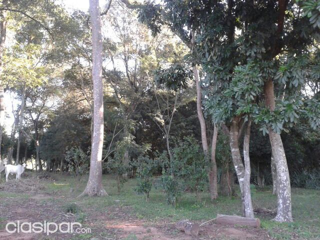 VENDO HERMOSA PROPIEDAD EN SAN JOSE DE LOS ARROYOS — foto 3