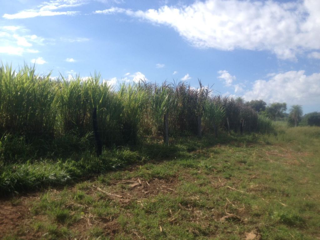 Oferta!!Vendo linda granja en Yby Pytã 2 — foto 3