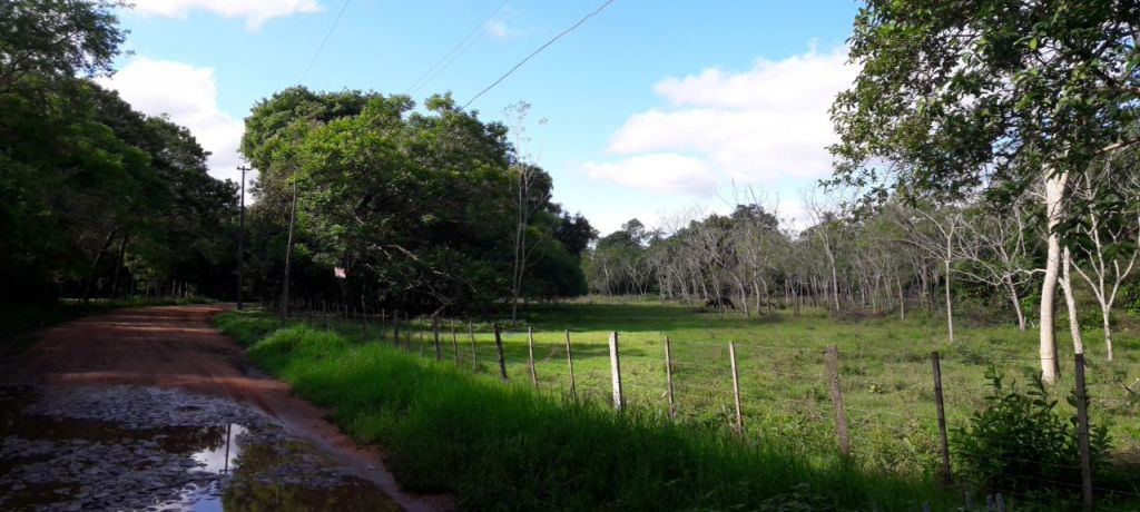 Quinta de 3,5 ha. A 200 metros de Acceso Sur Km 30 Ita — foto 3