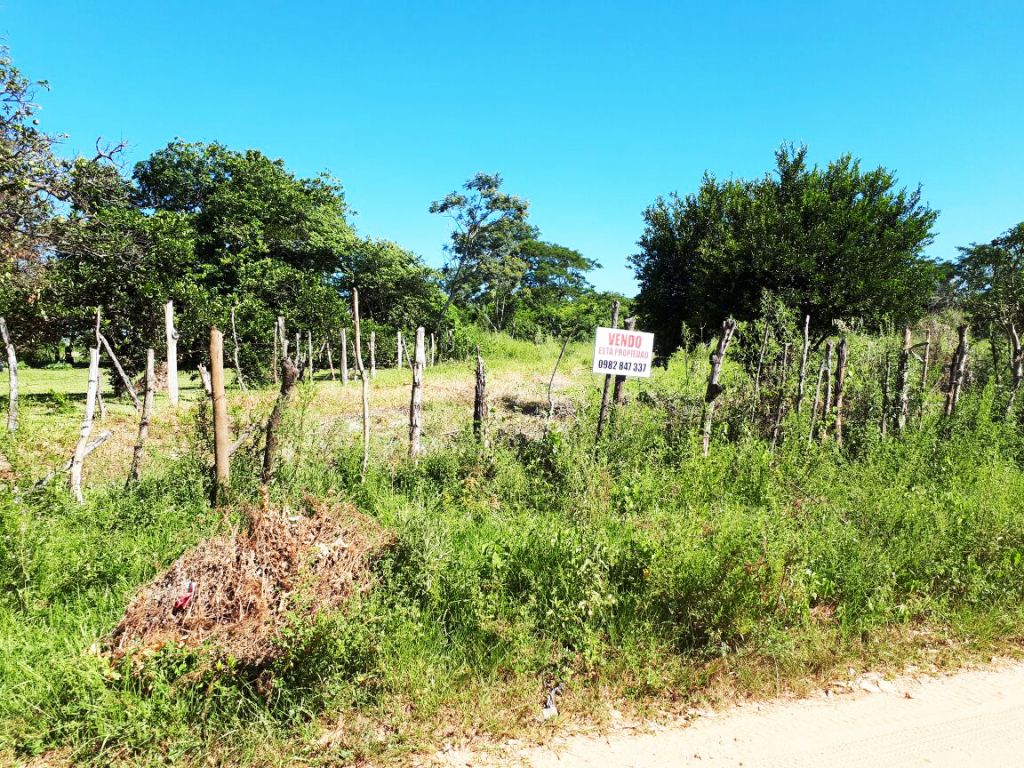TERRENO-SAPUCAI — foto 2