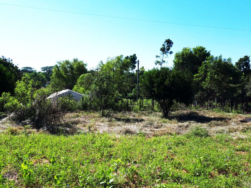 TERRENO-SAPUCAI — foto 3