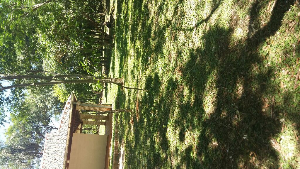 VENDO 6H EN PIRIBEBUY — foto 2