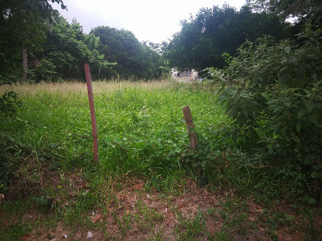 Vendo dos terrenos en Villa elisa — foto 3